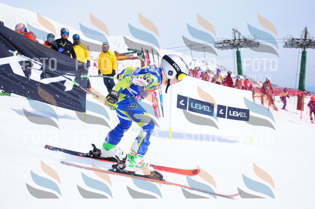 DSC_2231 | holidayphoto