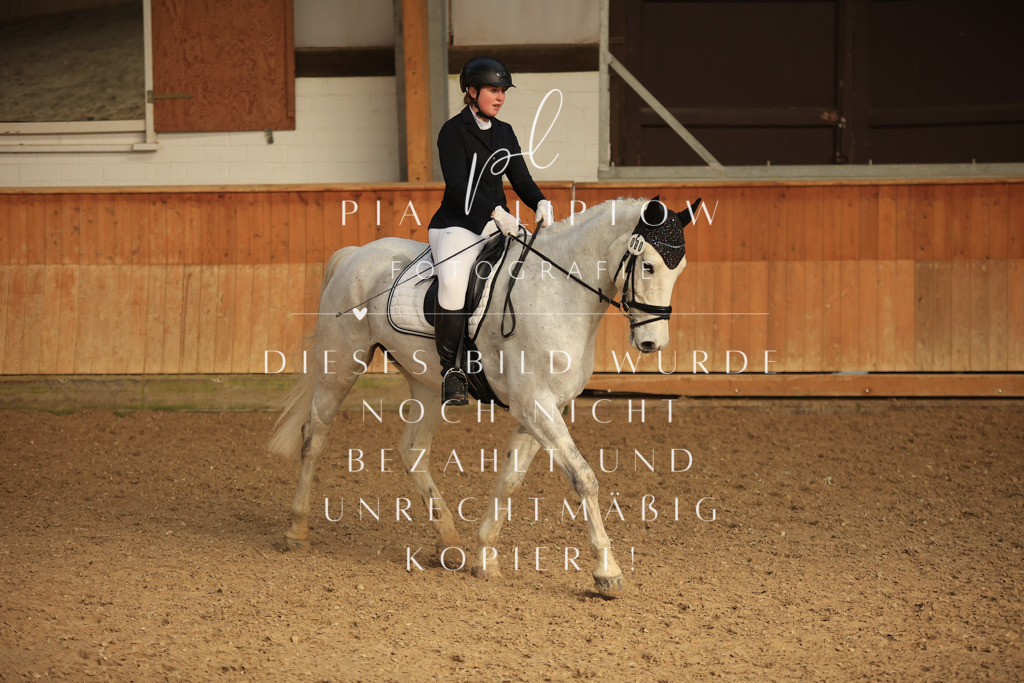 IMGT4536 | pl-fotografie