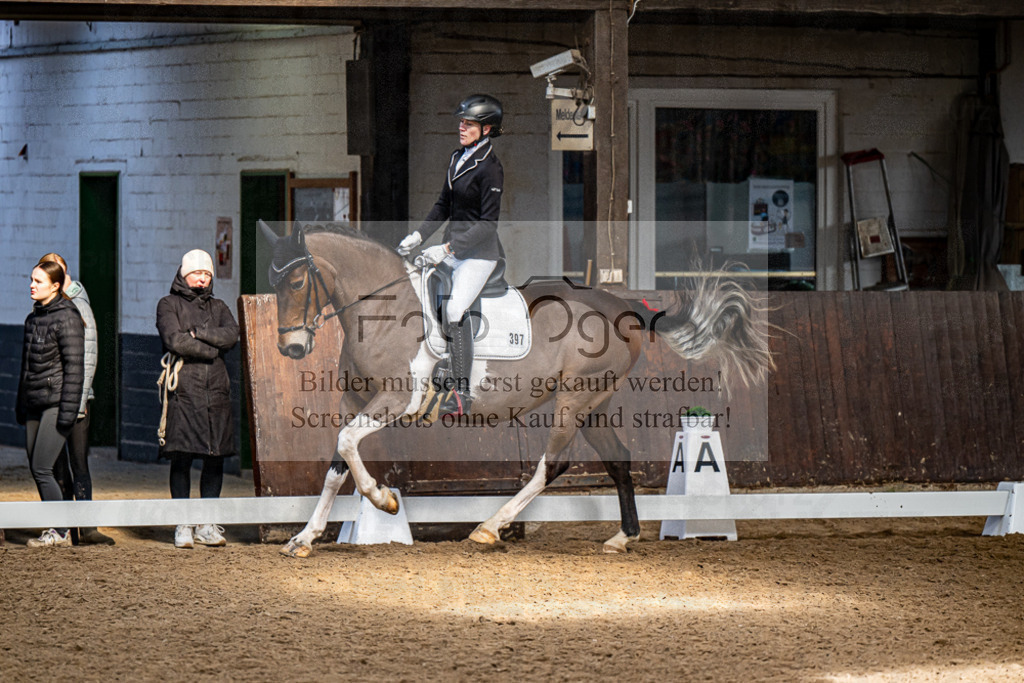 20240310-DOS_0584 | Entdecke hochwertige Reitturnierfotos von Foto Oger. Professionell, emotional und authentisch – jetzt Lieblingsmomente im Shop bestellen.Deutschlandweite Turnierfotografie. - Realisiert mit Pictrs.com