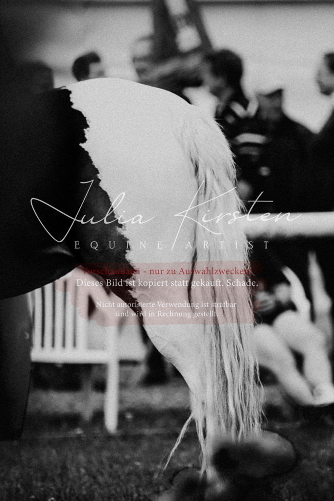 DSC_9333 | Pferde- und Turnierfotografie in Westsachsen. Pferdeportraits, Auftragszeichnungen und intuitive Kunst.