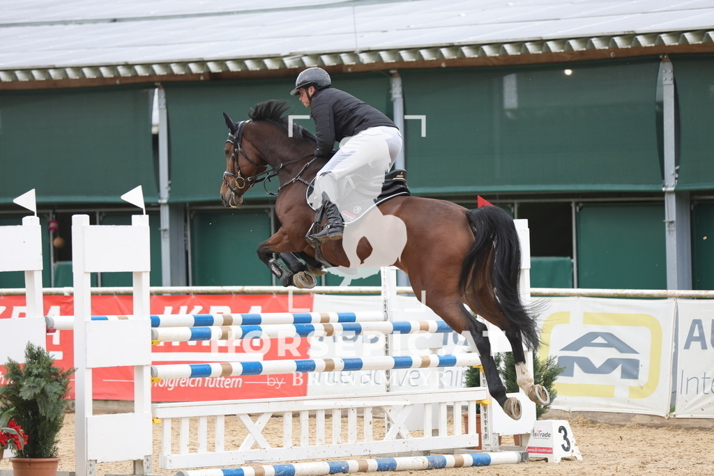 0P6A3533 | Willkommen bei Brunnmayr - Design & Fotografie – Ihrem Spezialisten für Reitturniere und Pferdeveranstaltungen in Oberösterreich, Salzburg und Bayern! Seit über 17 Jahren sind wir leidenschaftlich dabei.