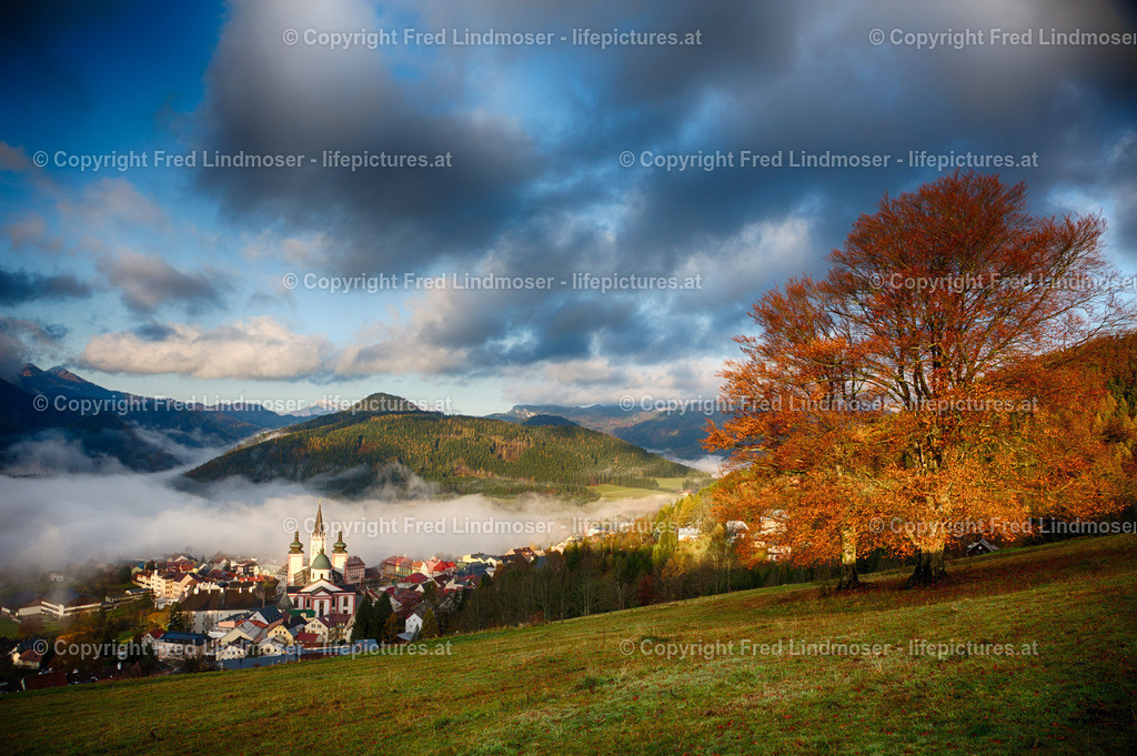 IMG_2551_HDR | Fotos und Fotoprodukte - Realisiert mit Pictrs.com