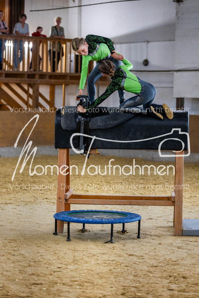 Holzpferd-007 | MomenTaufnahmen Pferdesportfotos