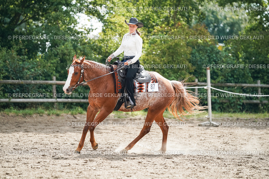 DSC04453 | Pferdegrafie