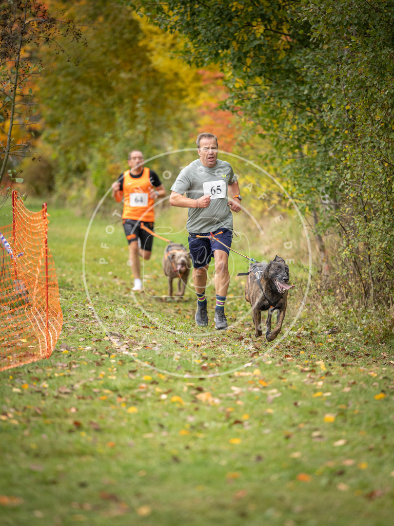 Pfotenfotografie_DV3A2709 | Hundefotografie, Tierfotograf, Pfotenfotografie, Fotoshooting Hund, Hunde Portrait, Hundesport, Hundeportraits, Heideshooting, Hunde, Sportfotograf, Hundefotograf, Turnierhundsport, THS,  - Realisiert mit Pictrs.com