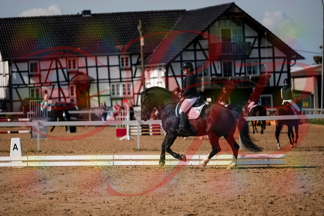 2026_10_03_Siefer-Hof_120756_Z63_36965952 | Professionelle Reitsport-, Turnier- und Eventfotografie von Robert Broda. Galerien mit ausgewählten und bearbeiteten Bildern direkt online ansehen und bestellen.