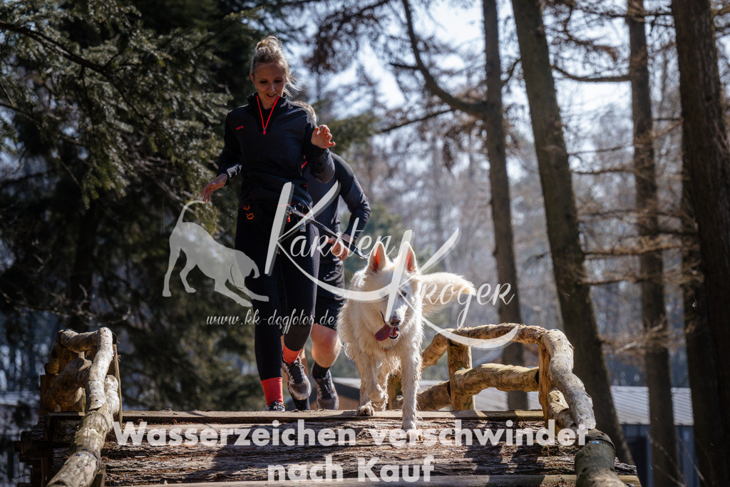 1335_ZZ95726 | kk-dogfotos