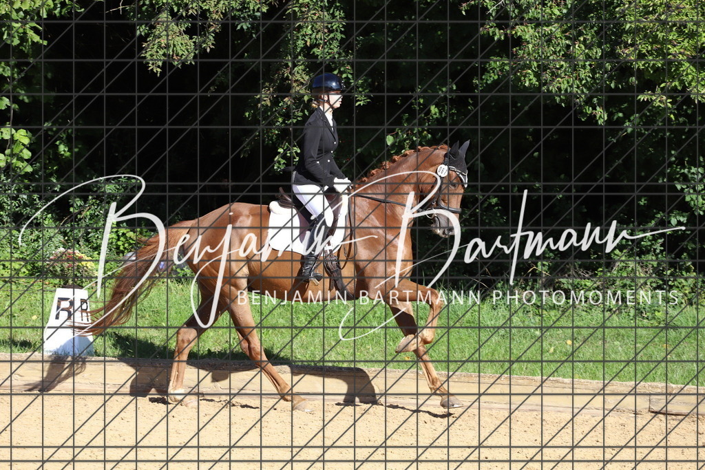 IMG_5124 | Benjamin Bartmann Photomoments