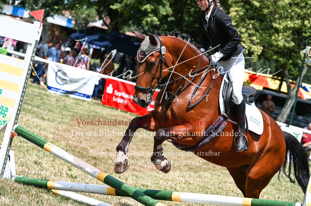 DSC_9566 | Pferde- und Turnierfotografie in Westsachsen. Pferdeportraits, Auftragszeichnungen und intuitive Kunst.