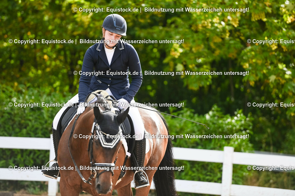 20230716_04_Dressurreiterprüfung Kl.A_0328 | equistock