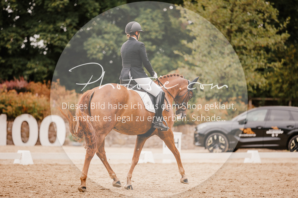 3I6A5934 | Stimmungsvolle Portraits und Reitsportfotografie im Ruhrgebiet und im Münsterland.

Pferdefotografie, Hundefotografie, Tierfotografie, Reportagen, Portraits von Tier und Mensch, Turnierfotografie in Bochum, Recklinghausen, Marl, Haltern am See, Dülmen.. - Realisiert mit Pictrs.com