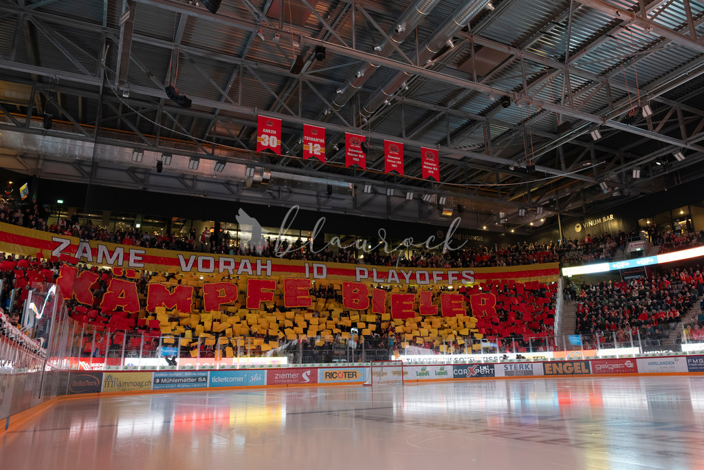 EHCB vs SCB 20260312_wb-5953 | Sportbilder, Sportfotograf, Hochzeits- und Eventfotografin, Flugshows, Portraits und Tiershooting, Aviation, Downhill, Nationalleague, Swissleague, International