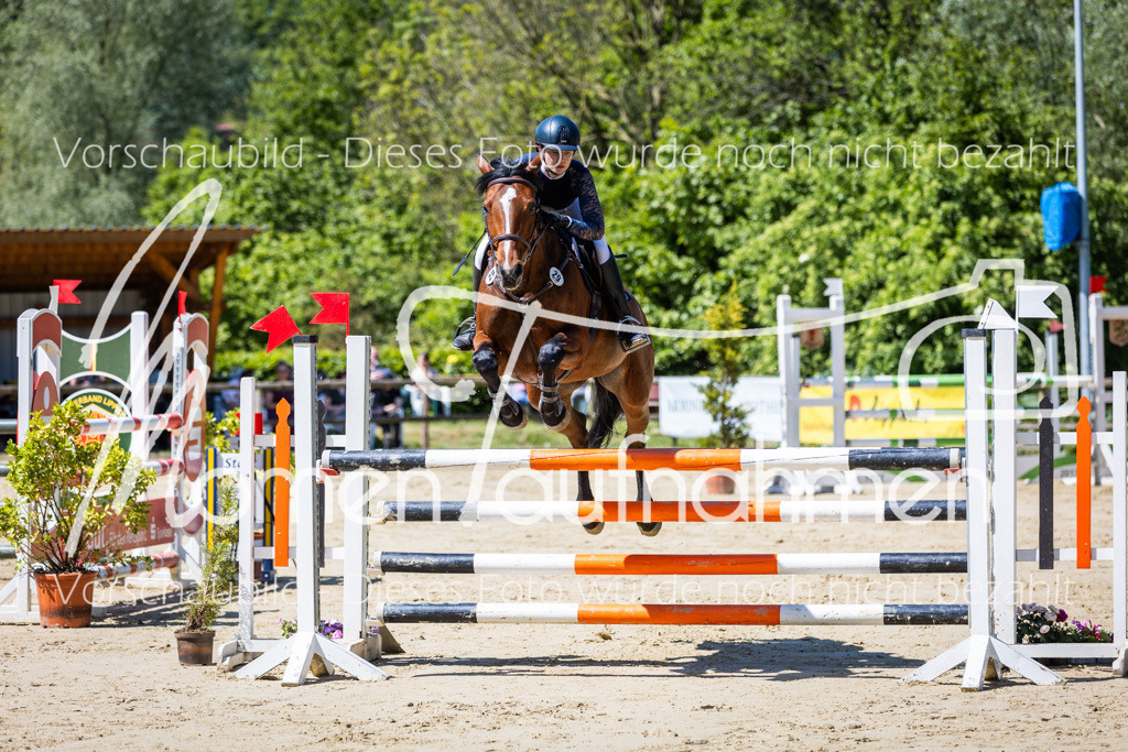 Donop24-L-Spr-009 | MomenTaufnahmen Pferdesportfotos