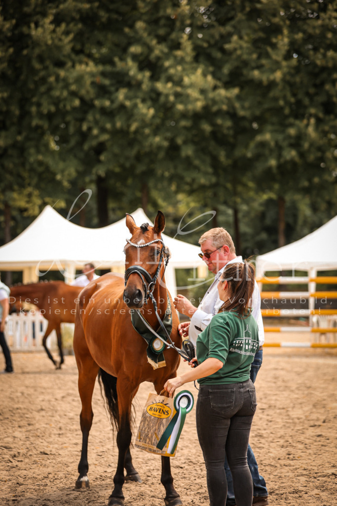 05.So00046 | Leoni Ertmer Photography - Realisiert mit Pictrs.com