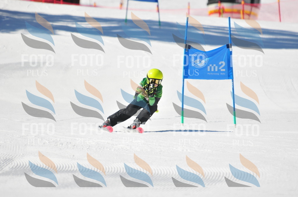 C3205 | holidayphoto