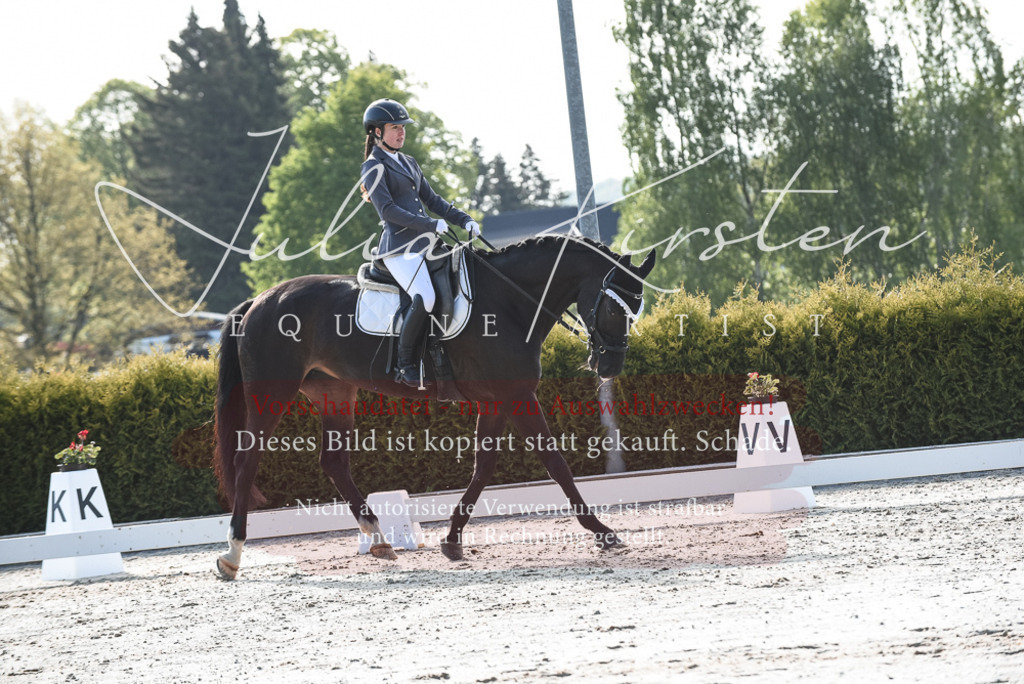 20230518_JK-Röhrsdorf-09-0790 | Pferde- und Turnierfotografie in Westsachsen. Pferdeportraits, Auftragszeichnungen und intuitive Kunst.