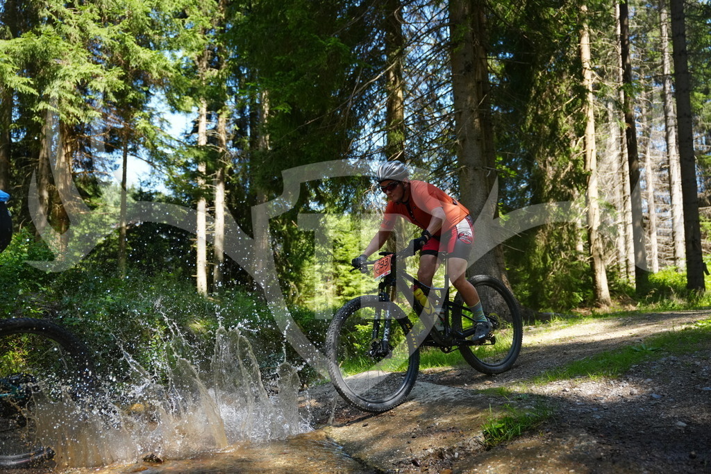 FC101811 | Fotogalerie der Treibjagd im Dunkelwald - Dein MTB Etappenrennen im Erzgebirge - Realisiert mit Pictrs.com