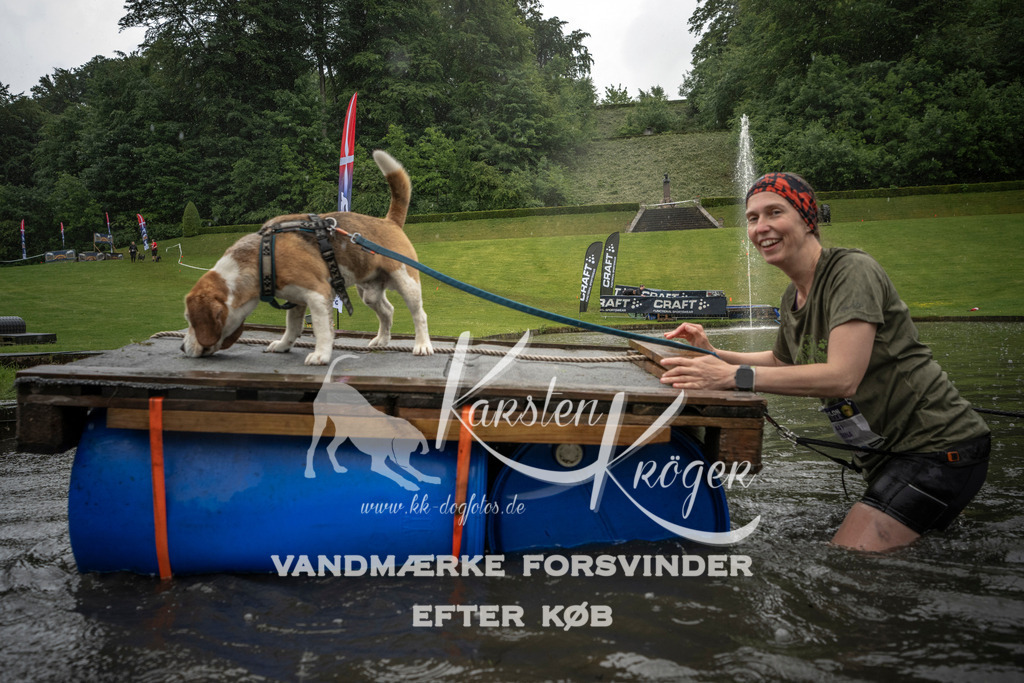 1413_ZZ99447 | kk-dogfotos