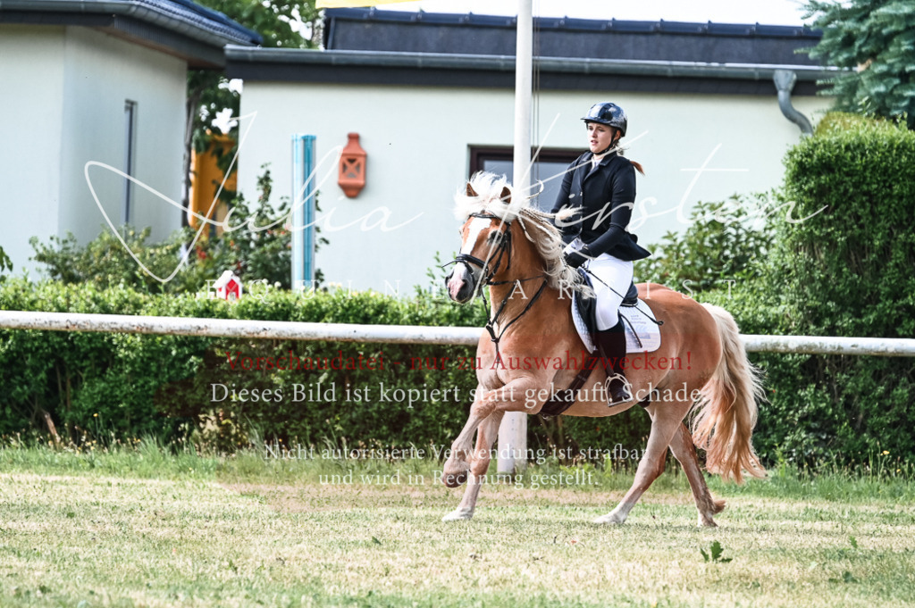 DSC_8731 | Pferde- und Turnierfotografie in Westsachsen. Pferdeportraits, Auftragszeichnungen und intuitive Kunst.