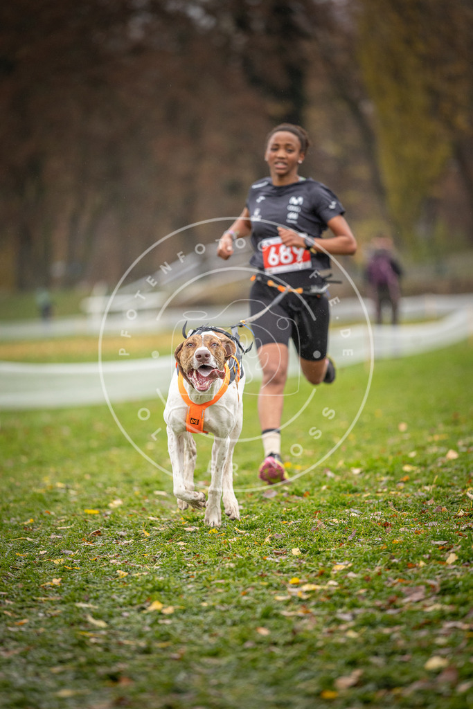 CaniXpix_DV3A8952 | Hundefotografie, Tierfotograf, Pfotenfotografie, Fotoshooting Hund, Hunde Portrait, Hundesport, Hundeportraits, Heideshooting, Hunde, Sportfotograf, Hundefotograf, Turnierhundsport, THS,  - Realisiert mit Pictrs.com
