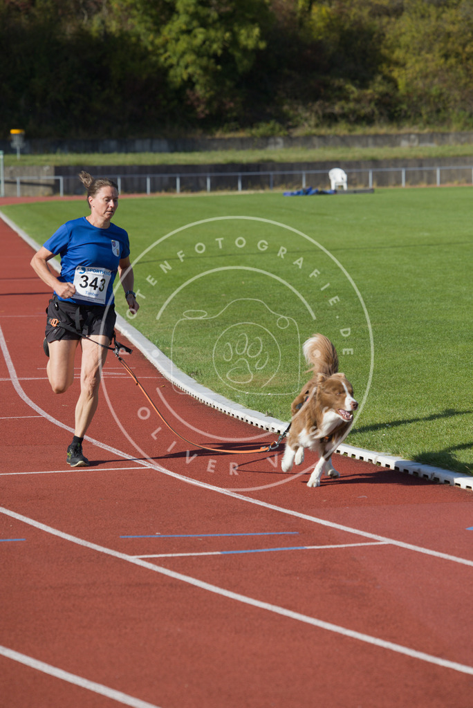 0L8A9264 | Hundefotografie, Tierfotograf, Pfotenfotografie, Fotoshooting Hund, Hunde Portrait, Hundesport, Hundeportraits, Heideshooting, Hunde, Sportfotograf, Hundefotograf, Turnierhundsport, THS,  - Realisiert mit Pictrs.com