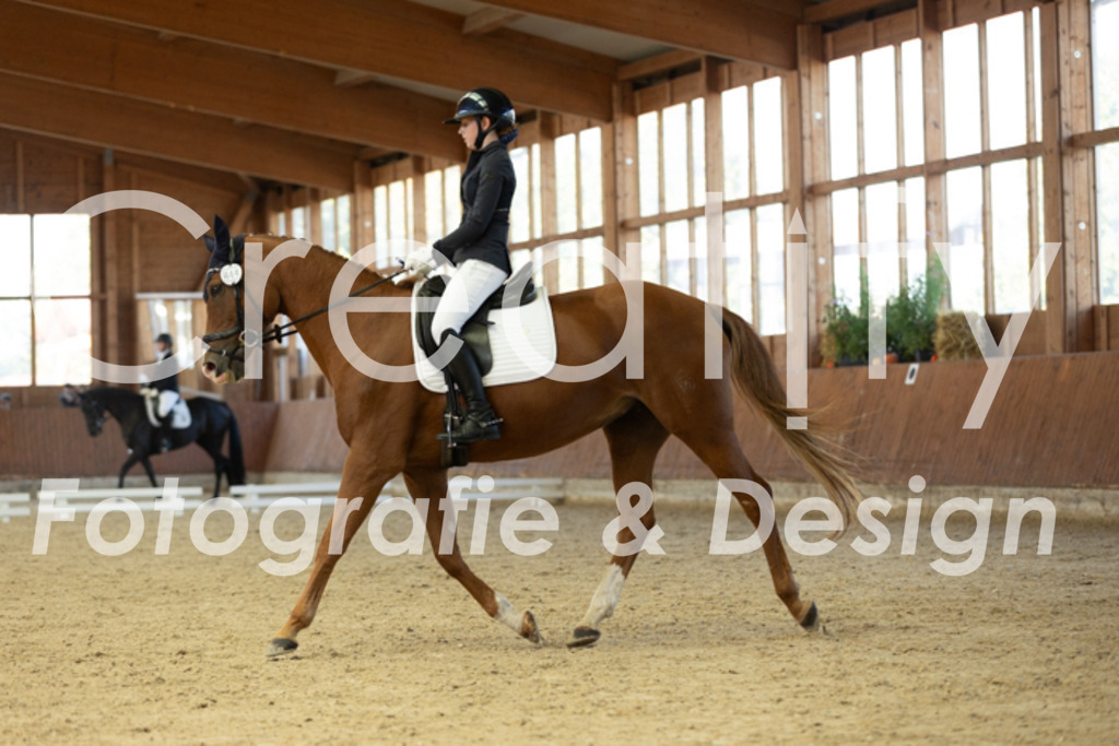 IMG_8753 | Creatify Fotografie