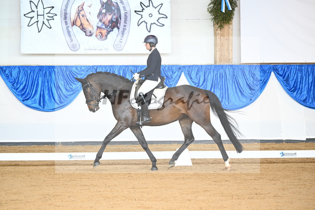 Scherer_Donna Galante_10232087 | hf-fotografie - Realisiert mit Pictrs.com