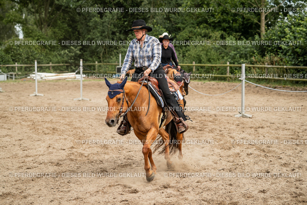 DSC03450 | Pferdegrafie