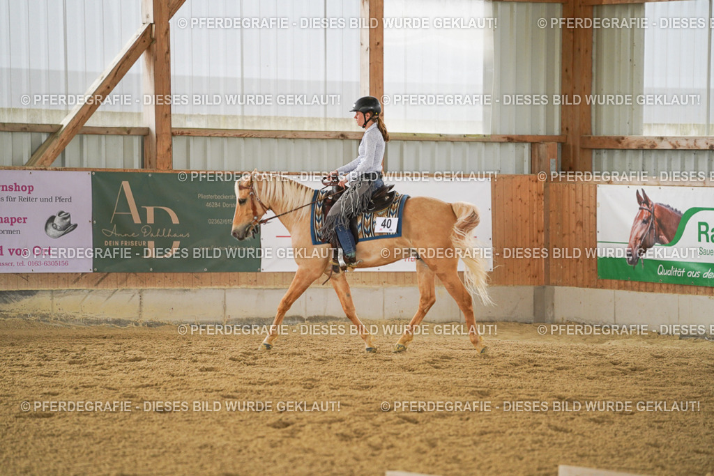 DSC03498 | Pferdegrafie