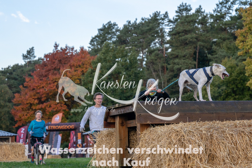 0848_ZZ91368 | kk-dogfotos