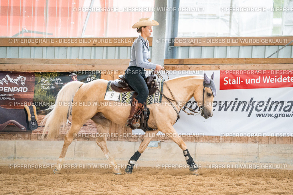 DSC00731 | Pferdegrafie