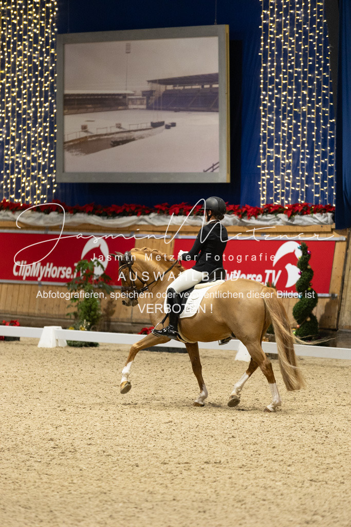 126A1677 | jasminmetznerfotografie