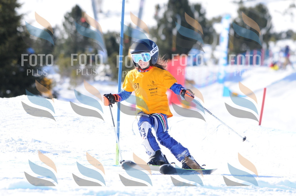 C6909 | holidayphoto