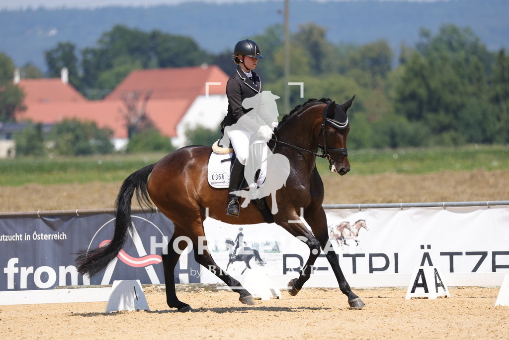 0P6A0464 | Willkommen bei Brunnmayr - Design & Fotografie – Ihrem Spezialisten für Reitturniere und Pferdeveranstaltungen in Oberösterreich, Salzburg und Bayern! Seit über 17 Jahren sind wir leidenschaftlich dabei.