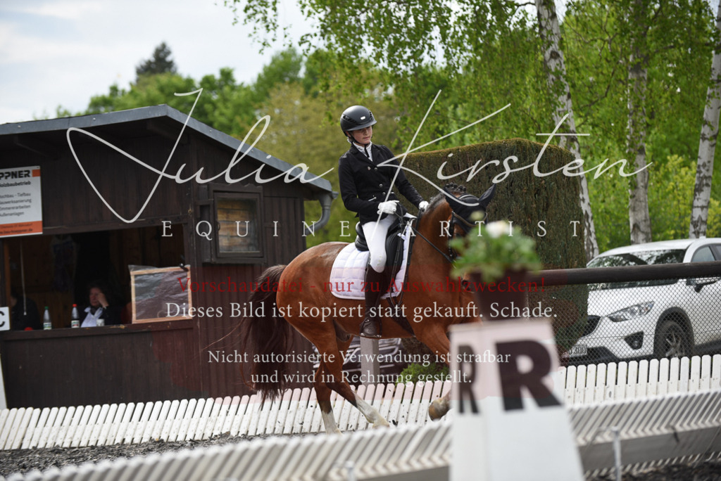 20230513_JK-Röhrsdorf-16-214 | Pferde- und Turnierfotografie in Westsachsen. Pferdeportraits, Auftragszeichnungen und intuitive Kunst.