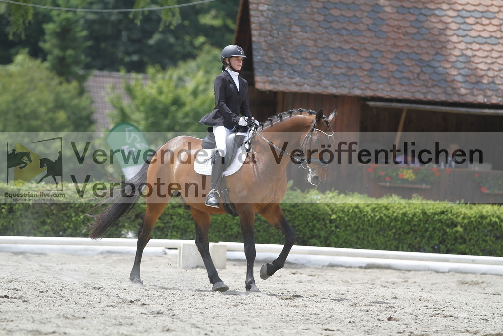 _MG_9482 | equestrian-live-com