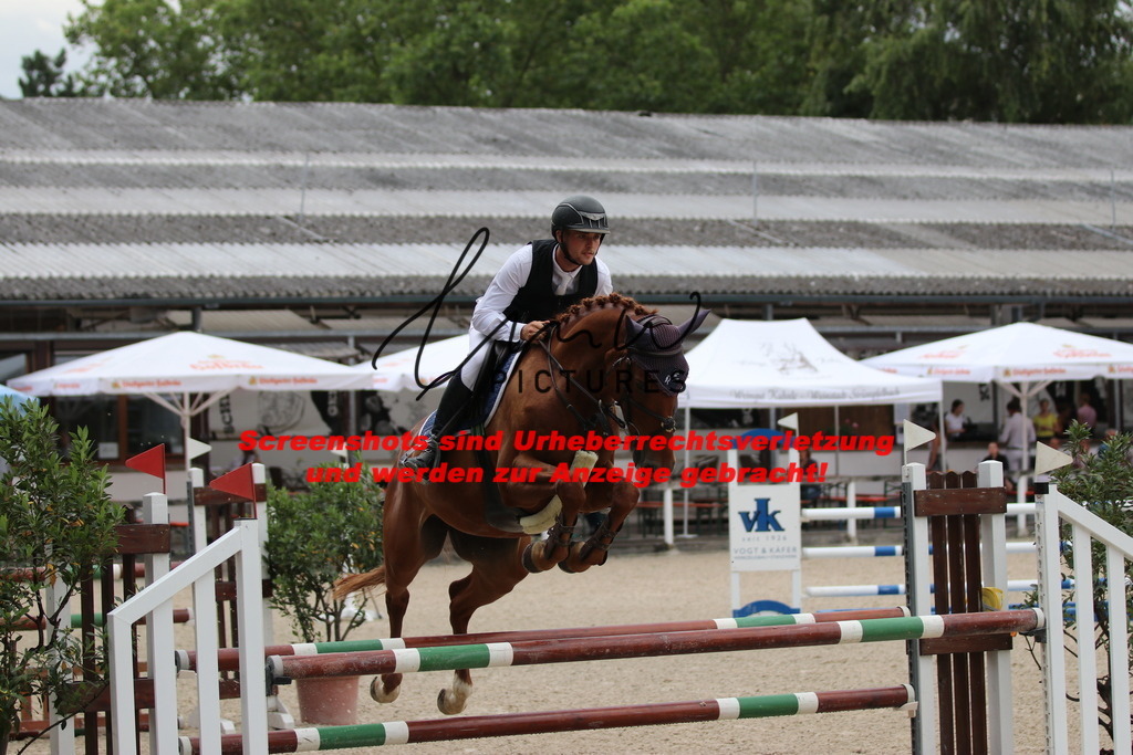 IMG_7715 | lmwpictures - Realisiert mit Pictrs.com