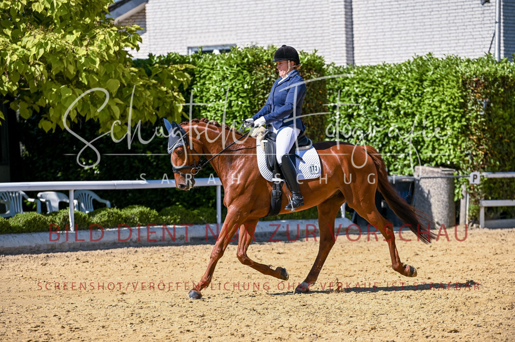 Schugtsche-Aluta25-50.Dressurpferdeprf.L-118 | Schugtsche Fotografie - Realisiert mit Pictrs.com