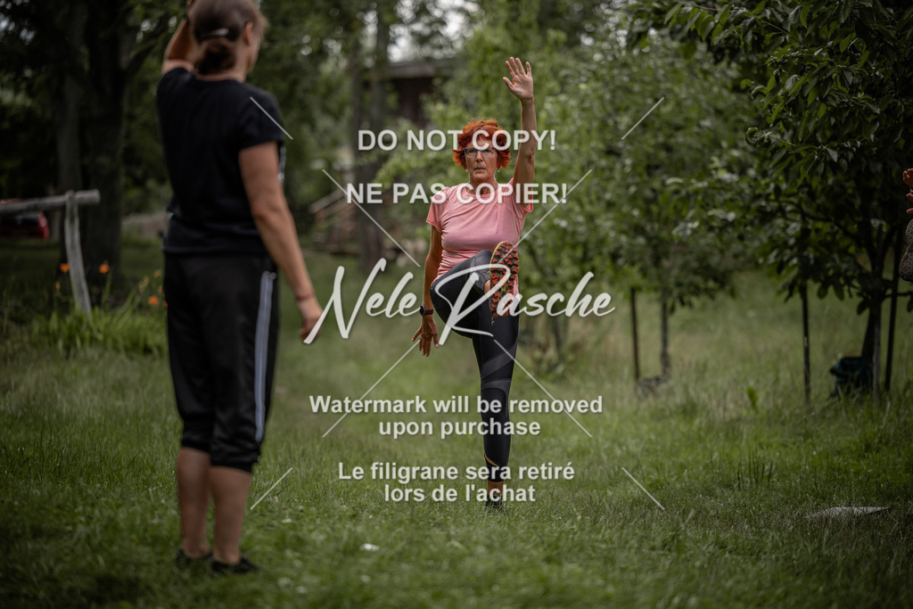 nelerasche_DoN_12 | nelerasche