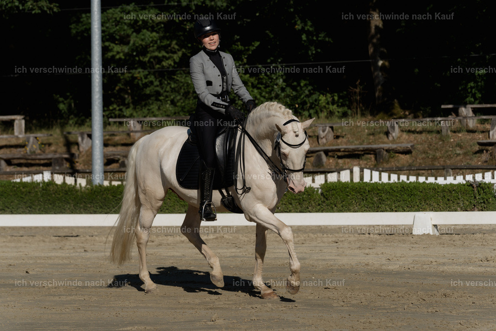 WM_DR_76_sinafilmart_IN04431 | working equitationturnier fotograf videograf stoibphotography marixx film working equitation deutschland reitsport turnierfotografie eventfotografie equestrian events