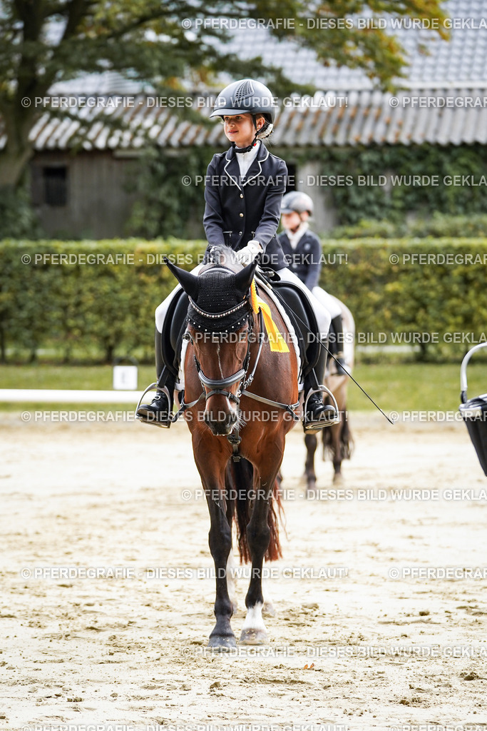 DSC05722 | Pferdegrafie