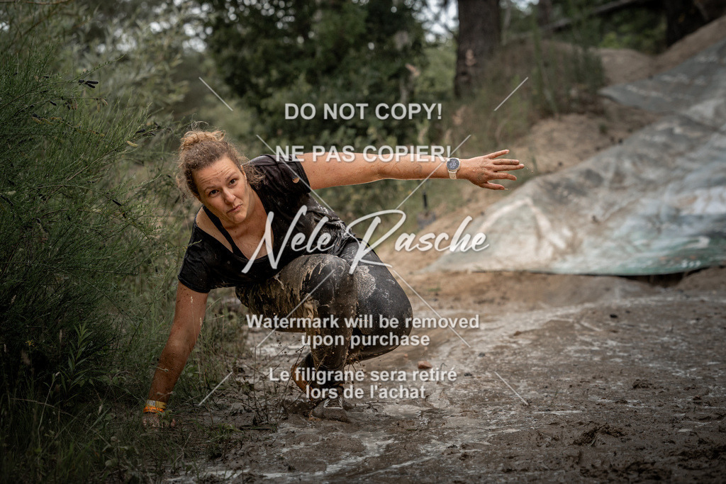 nelerasche_sa1530-1600_348 | nelerasche