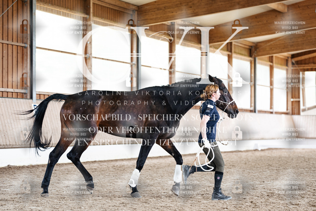 CK908099 | Turnierfotografie Pferdefotografie Trier Rheinland-Pfalz Pferdesport Reitsport Tierfotografie Sportfotografie Pferdevideo Pferdevideografie Equestrianvideography equestrianphotography  - Realized with Pictrs.com