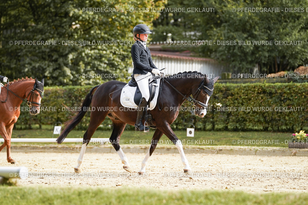 DSC05006 | Pferdegrafie