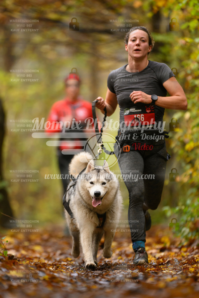 MompixPhotography_CD7S_DI_CCL-167 | mompixphotography