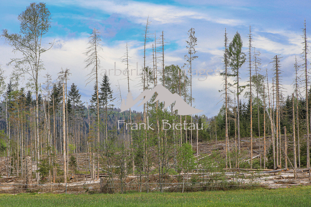 OE7A3647 | Randzone des Nationalpark