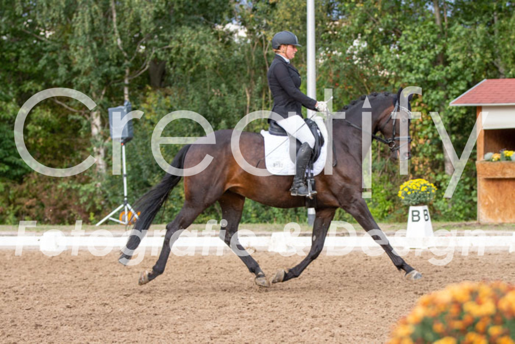 IMG_4910 | Creatify Fotografie