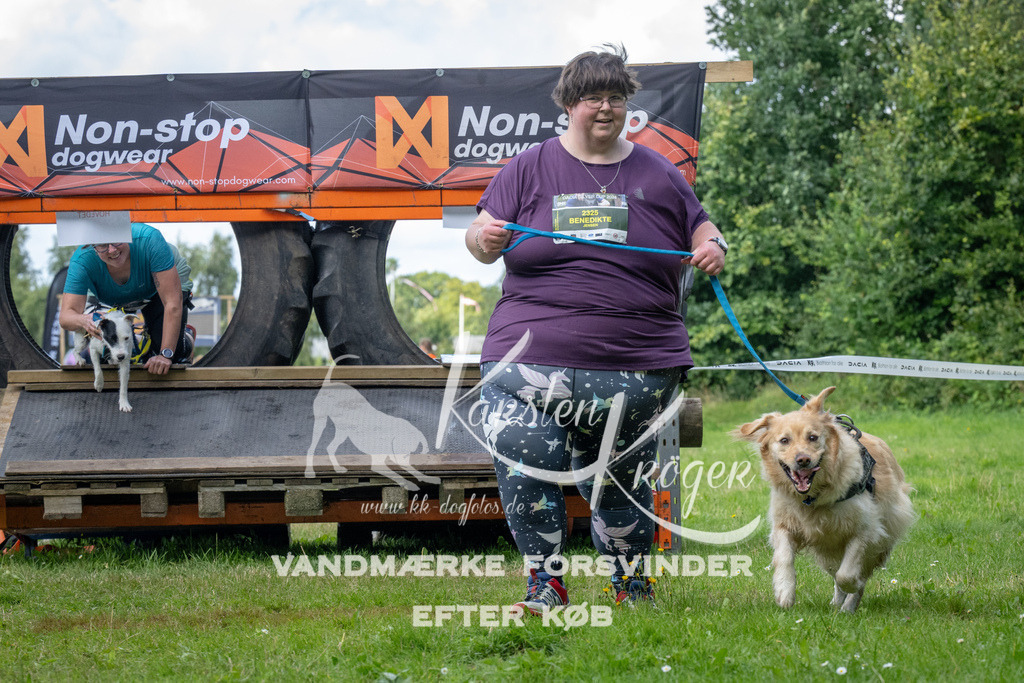 1555_ZZ94953 | kk-dogfotos