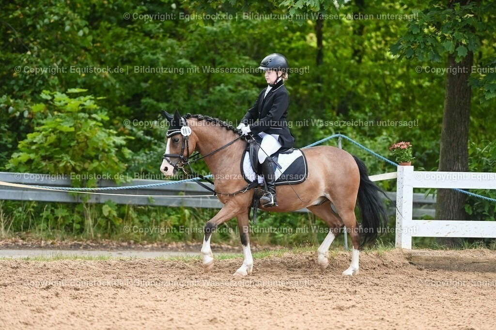 20230716_10-2_Reiter-WB Schritt - Trab - Galopp_0145 | equistock