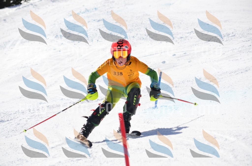 C9706 | holidayphoto